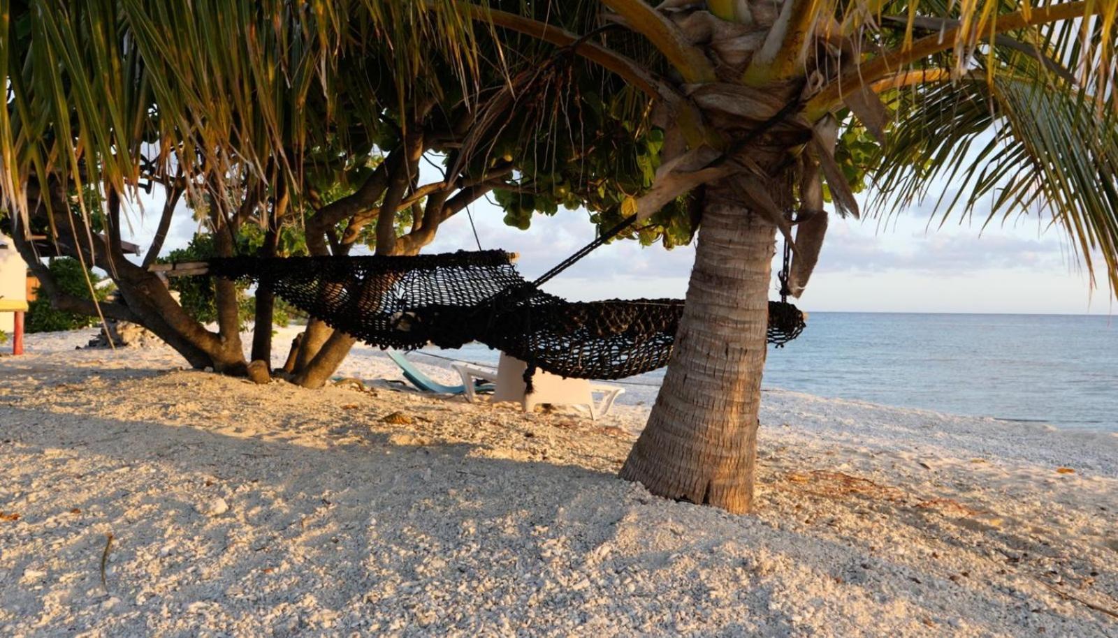 Hotel Rangiroa Bliss à Tiputa Extérieur photo